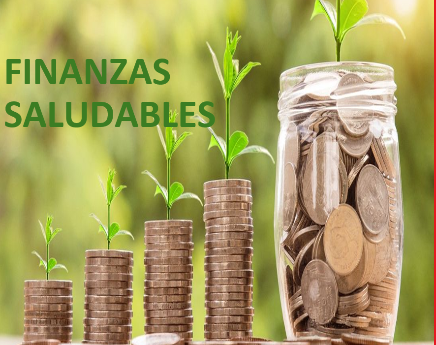 monedas y plantitas que crecen encima de las monedas